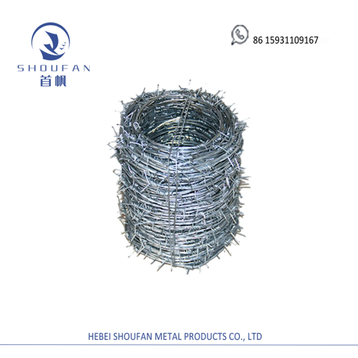 Galvanized Barbed Wire