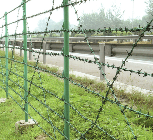 galvanzied barbed wire application